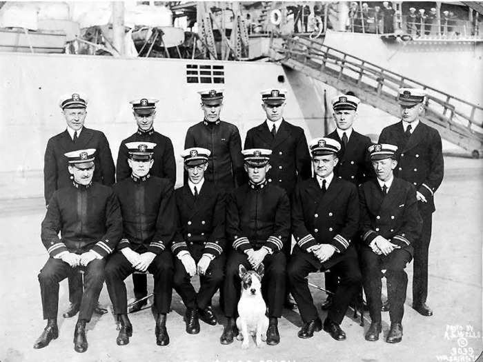 Dogs have been part of the US Navy since its inception