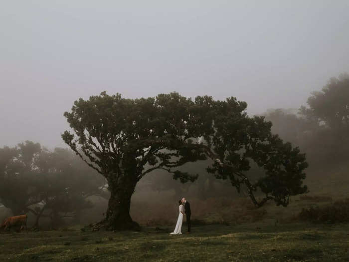 Another photographer perfectly framed a bride and groom under a tree in Portugal