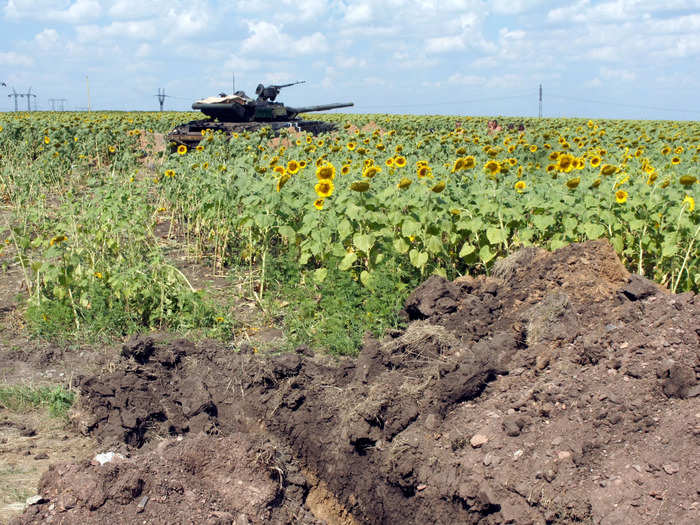 Russian officials touted the capture of Marinka as a tactical gain.