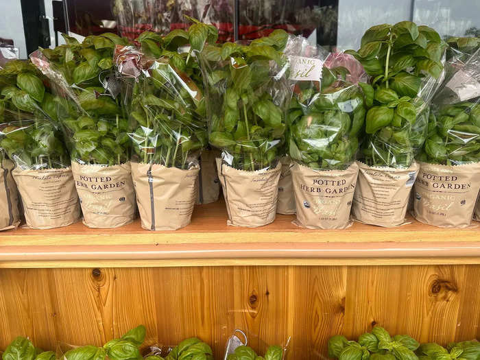 Fresh basil is a kitchen essential. 