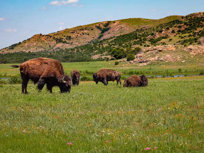 Avid travelers too often overlook the plains of Oklahoma.