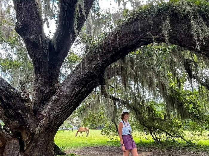 The Georgia coast is full of unique beauty.