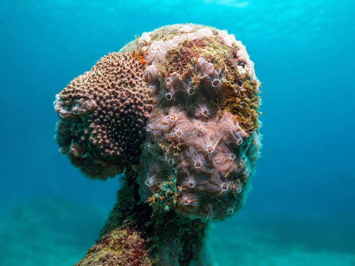 The sculptures have a larger eco-friendly purpose and serve as artificial reefs.