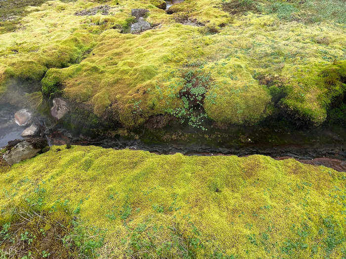 Locals wish tourists would be more careful about preserving Iceland