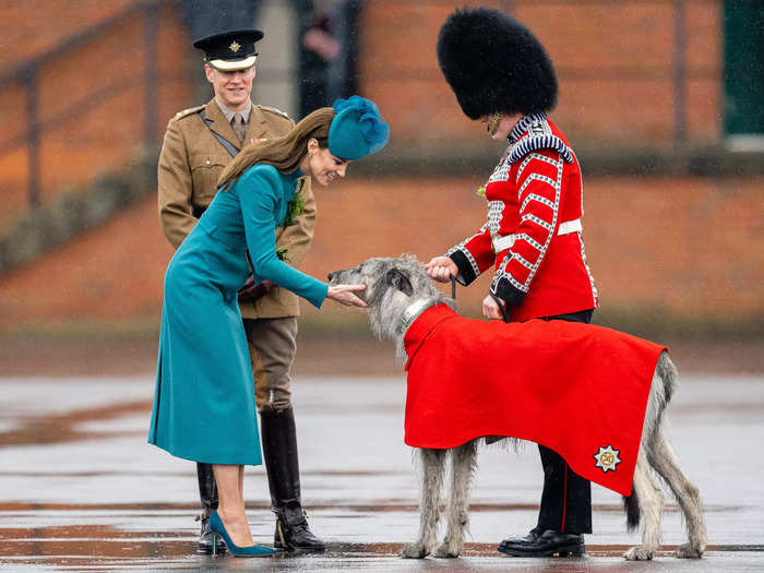 The Princess of Wales met an Irish Wolf Hound.