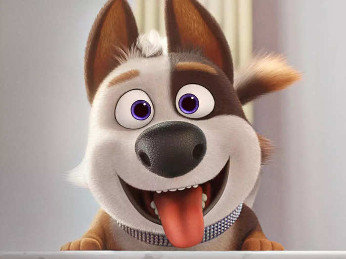 White did voicework for "Dog Gone Trouble" (2019).