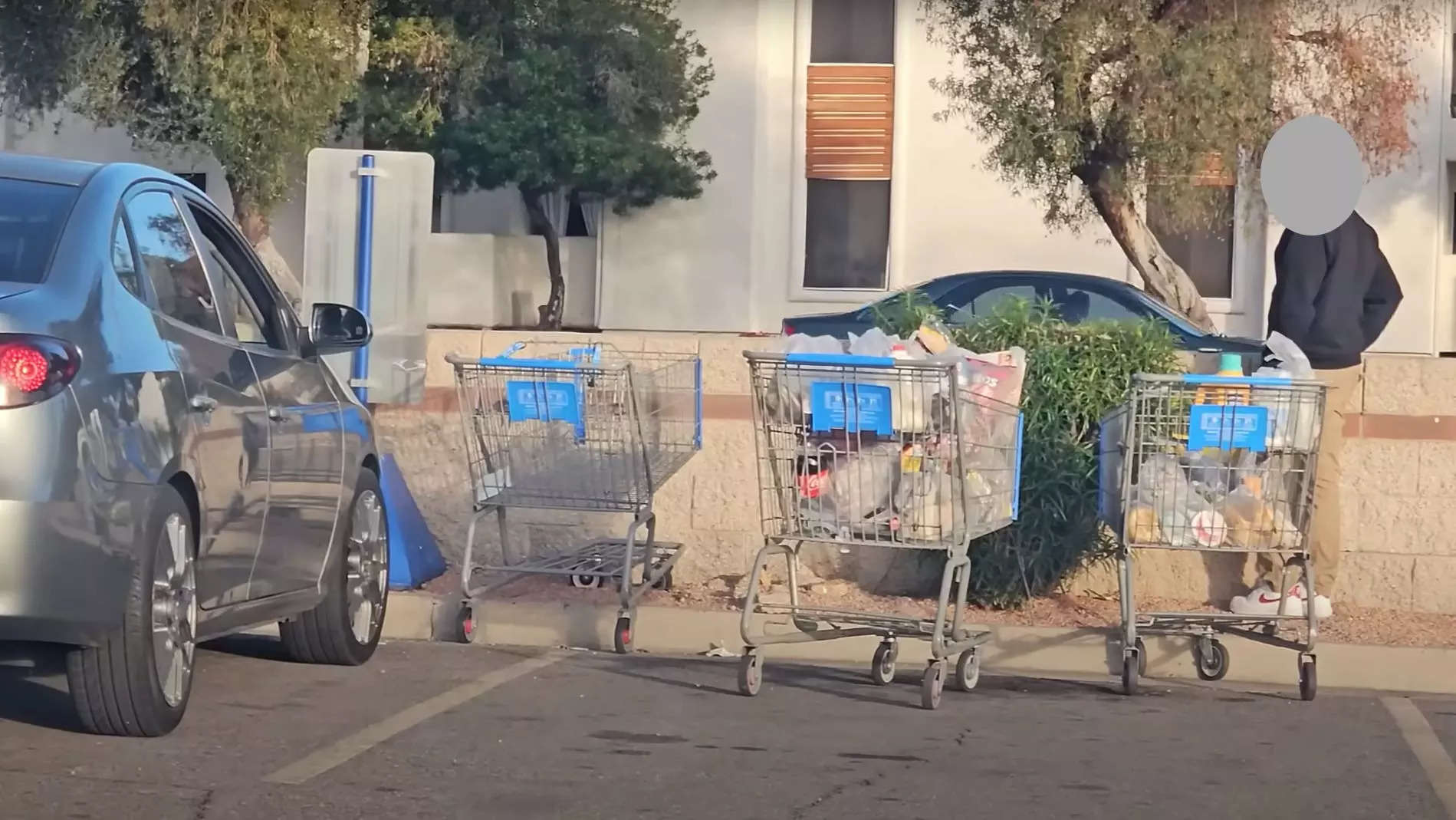 Shopping carts with groceries in a Walmart parking lot.