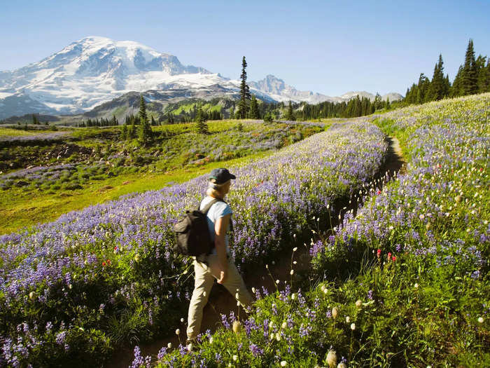 Mount Rainier National Park