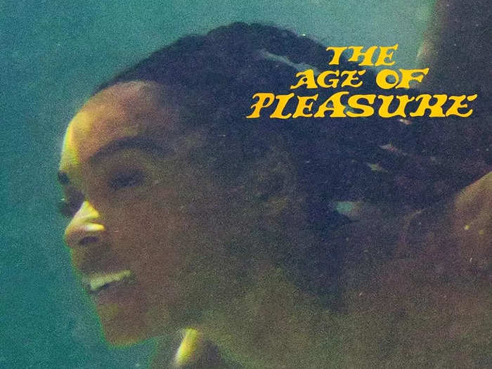 4. "The Age of Pleasure" by Janelle Monáe