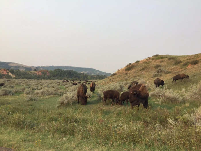 North Dakota