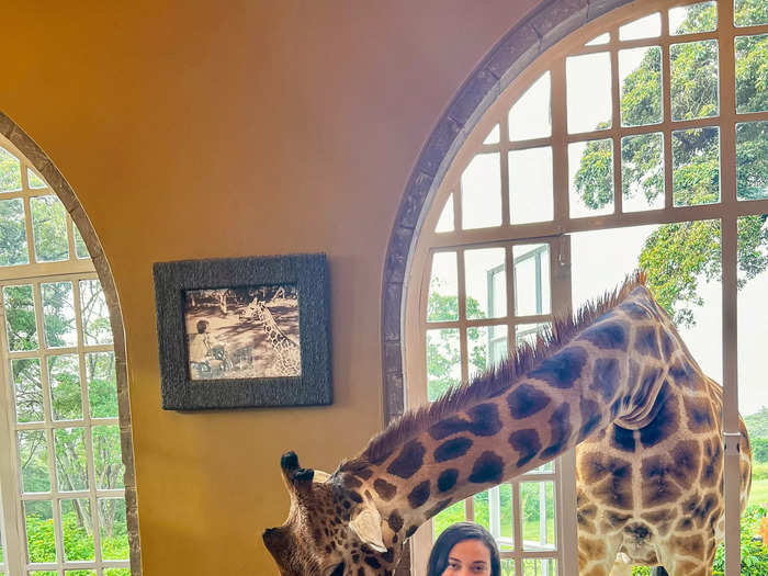 The stay is worth it for the giraffes.