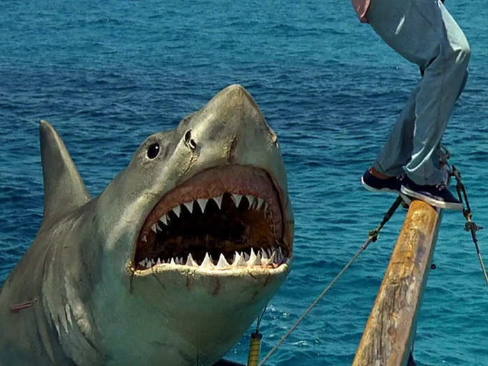 "Jaws" is a perfect movie, so it hurts that much more to talk about "Jaws 2," "Jaws 3-D," and "Jaws: The Revenge."