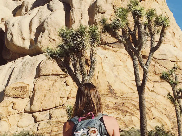 Joshua Tree National Park in California offers a unique combination of plants and wildlife.