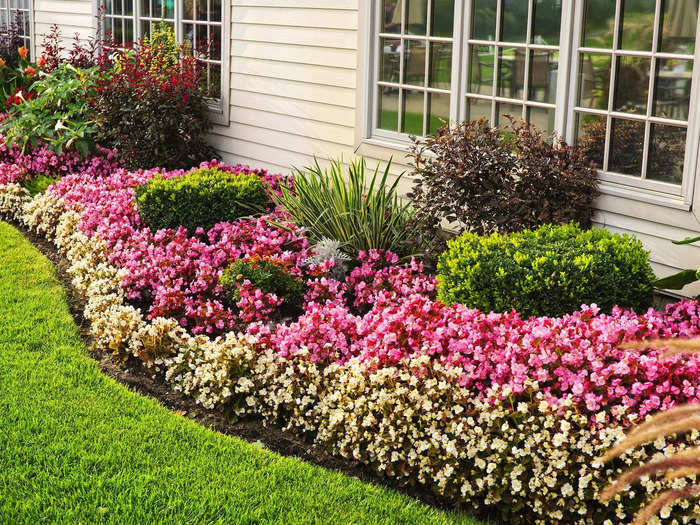 Single-type flower beds can appear dull and uninspired. 