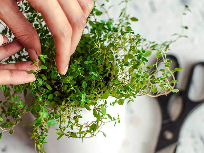 Use a combination of fresh and dry herbs.