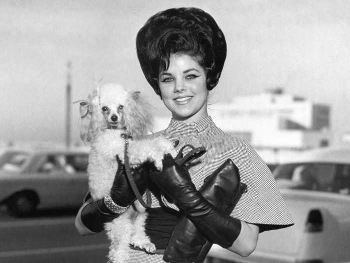 Christmas 1962: Elvis gifts Priscilla a dog for the holidays. She names him Honey.
