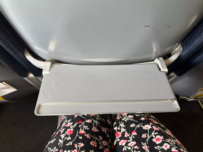 There was no in-flight entertainment, but I had a small tray table