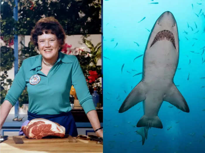 Shark repellent was invented by none other than famous American chef Julia Child.