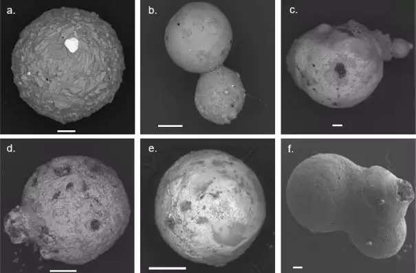 A colleaction of pictures shows different spherules collected by Loeb and colleagues during their expedition, seen by electron microscopy. There are of varied shapes and sizes.