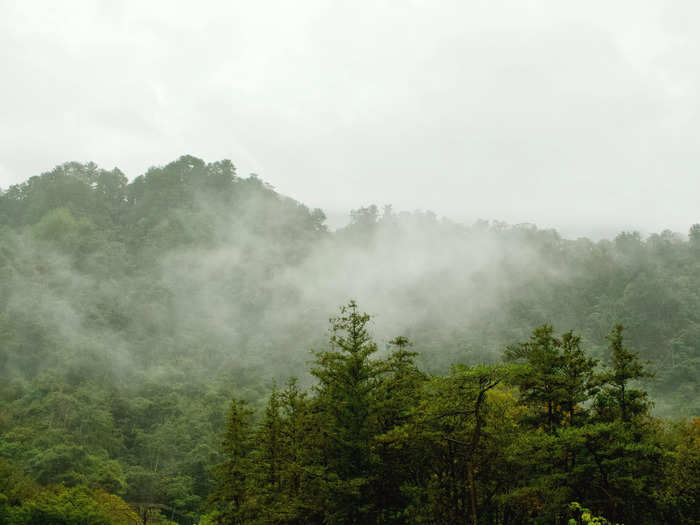 It rained on our last day, but the clouds gave the mountains a mystic vibe.