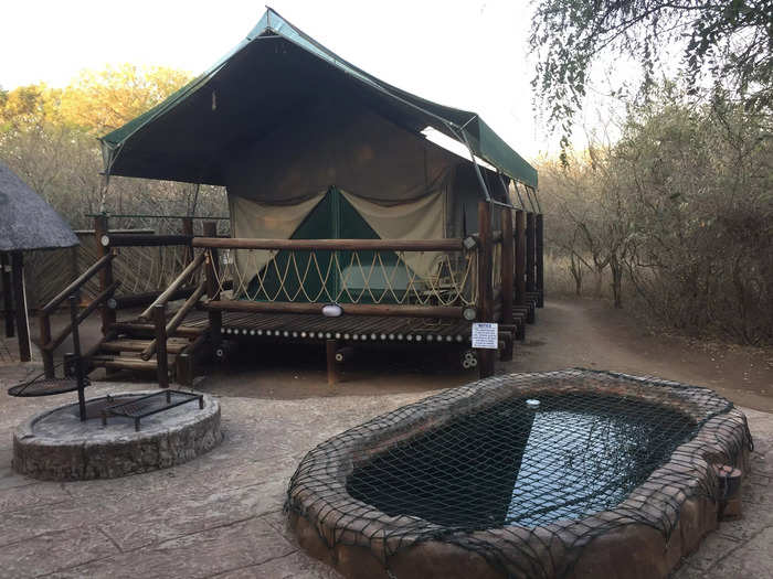 My affordable safari experience was at Jackalberry Ridge, where some tents cost $80 a night.