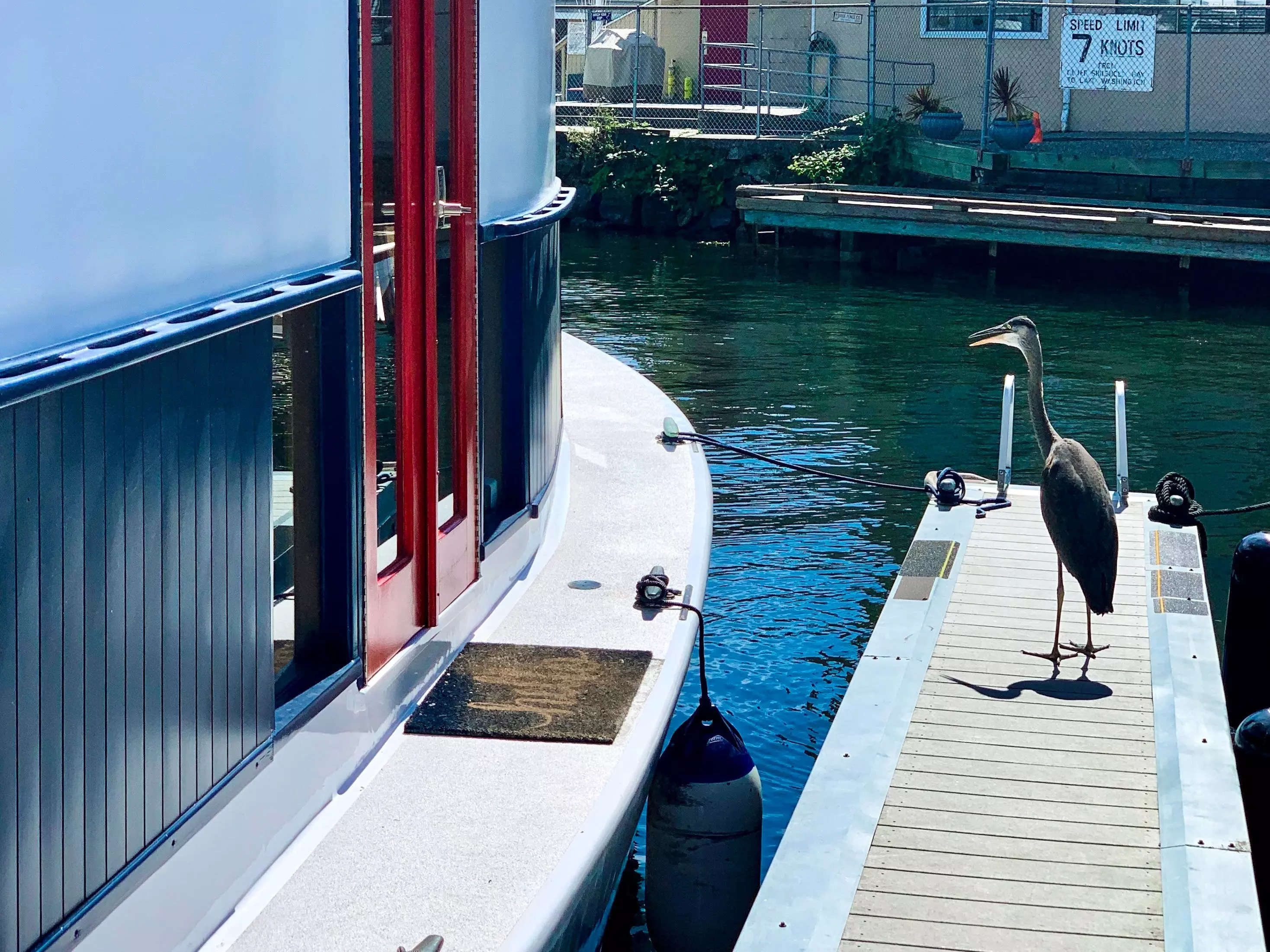 A bird standing on a dock next to a houseboat.
