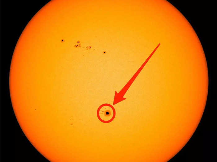 3. Sunspots and solar prominences 