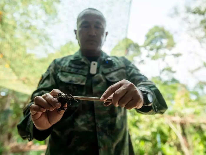 The largest joint exercise in mainland Asia