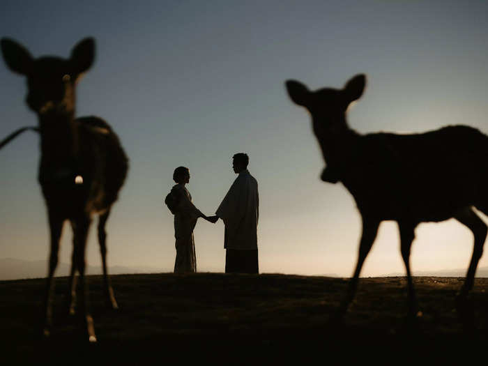 This pair of fiancés was joined by a pair of deer in Nara, Japan.