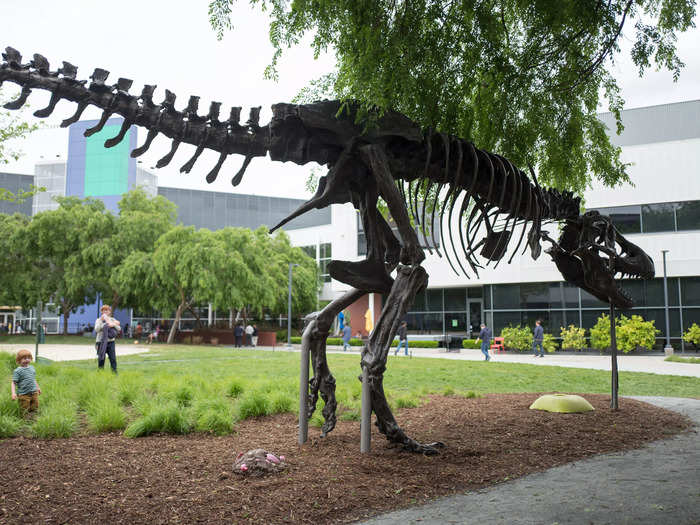 The Googleplex campus is located in Mountain View, California. 