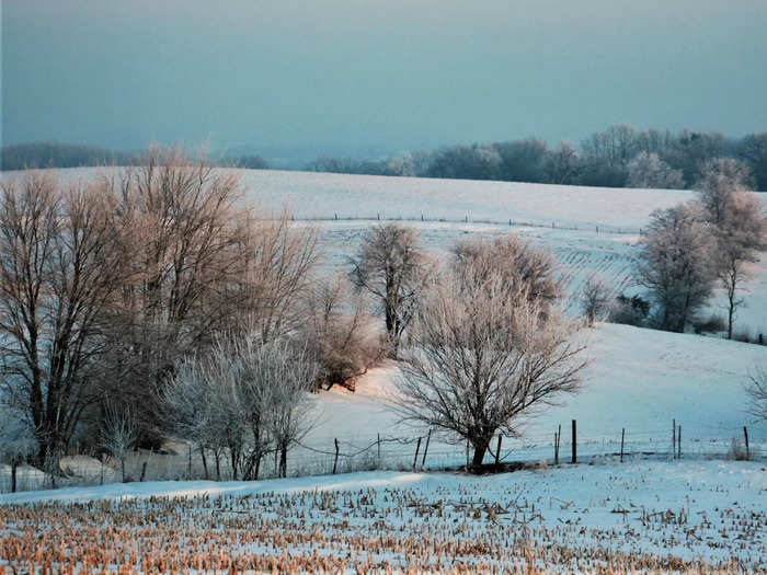 43. Iowa