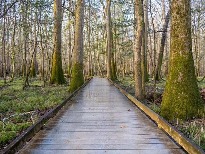 Congaree National Park is another park that