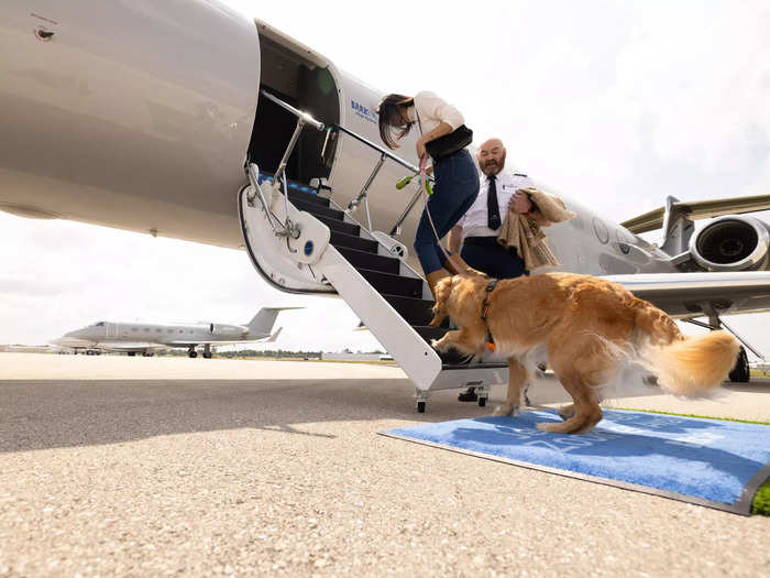 Bark’s new air carrier will offer two roundtrip routes starting May 23: weekly flights between New York and Los Angeles and twice-monthly flights between New York and London.