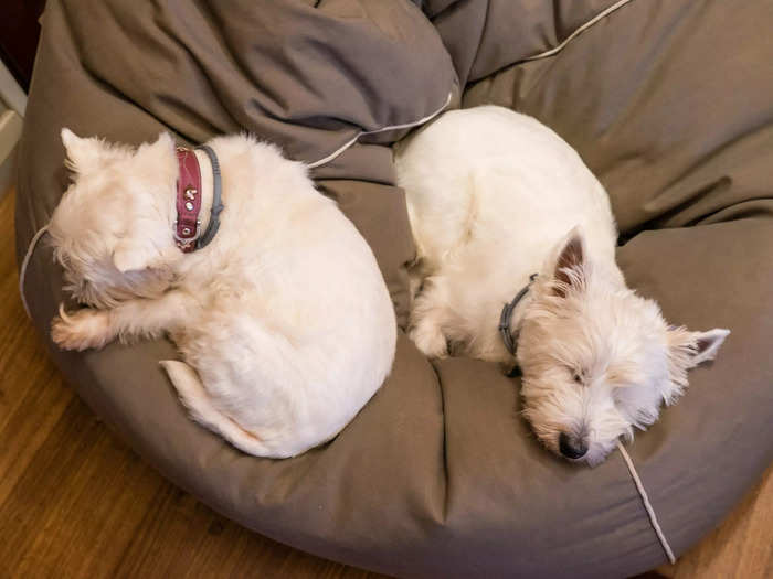 Beanbags can take up too much space.