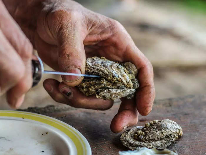 VIRGINIA: Oysters