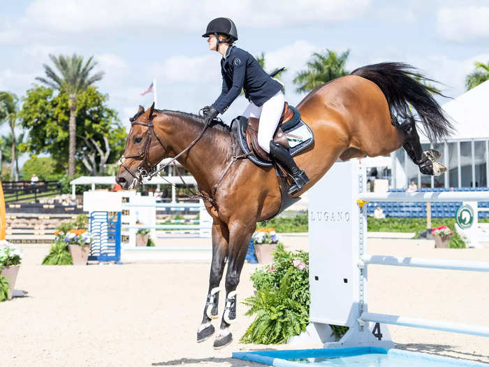 Wellington equestrian compound, Florida 