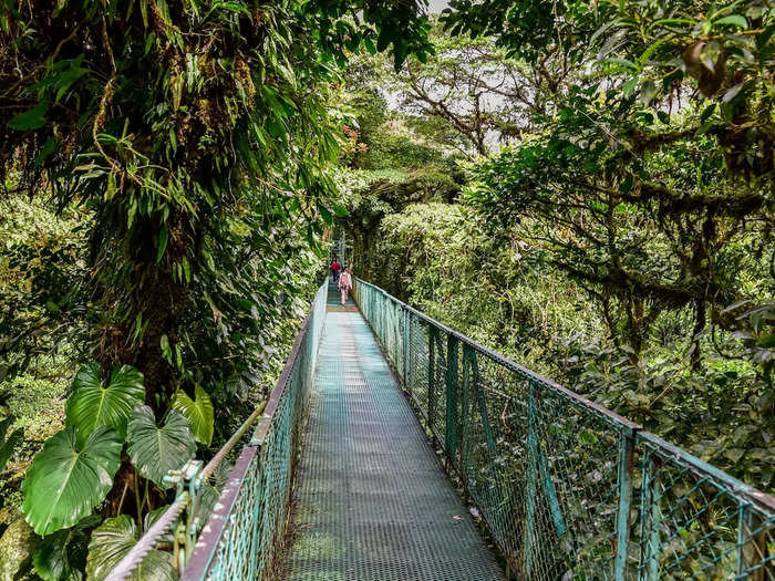 Monteverde Cloud Forest in Monte Verde, Costa Rica, feels and looks like a jungle paradise even on damper days.