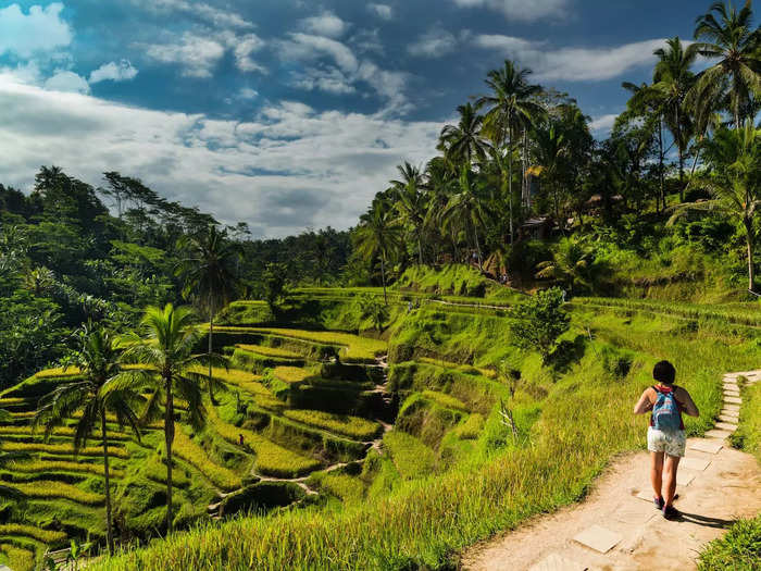 Tegalalang Rice Terrace in Indonesia offers a vibrant green landscape with towering palm trees.