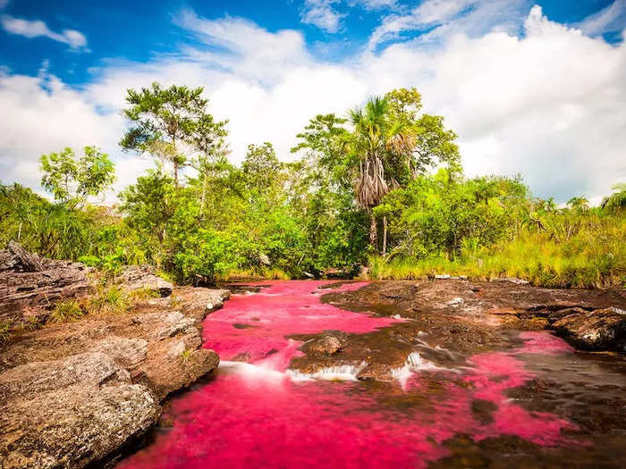 Caño Cristales River in Colombia is also known as "the river of five colors" or "liquid rainbow."