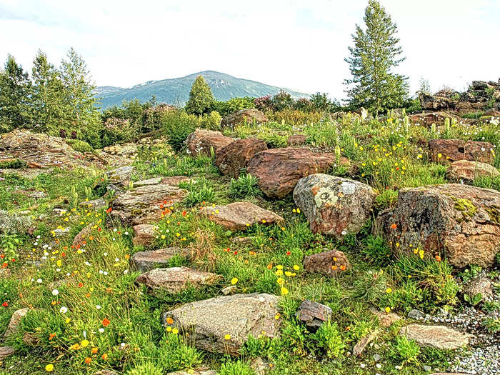 Located in Tromsø, Norway, the Tromsø Arctic-Alpine Botanical Garden is the world