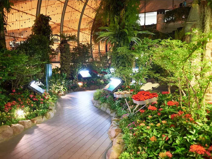 In Singapore, Changi Airport is home to a butterfly garden with over 1,000 butterflies, signature plants, and a waterfall.