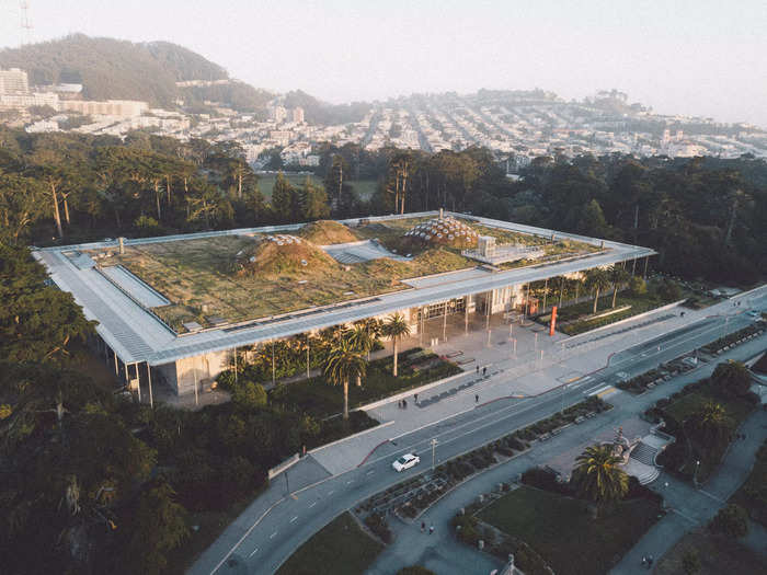 In San Francisco, the California Academy of Sciences Living Roof houses a variety of plant life.