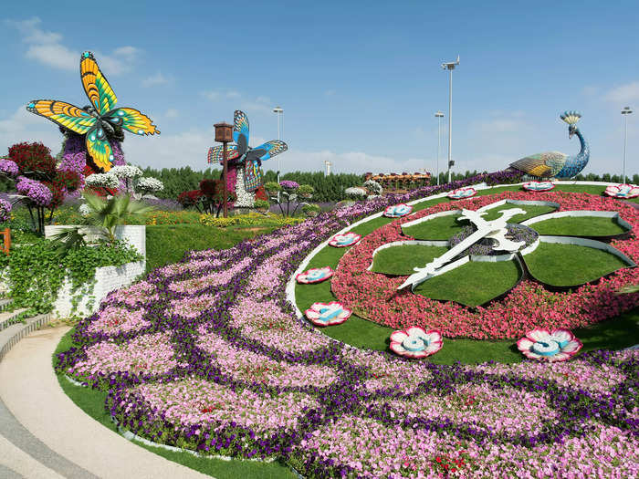 Located in Dubai, United Arab Emirates, the Dubai Miracle Garden has dubbed itself the largest natural flower garden in the world.