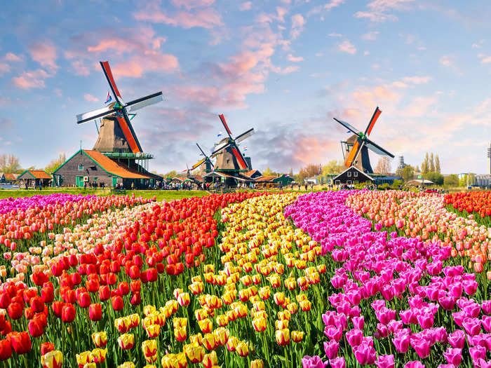 Located in Lisse, Netherlands, the Keukenhof offers scenic fields of flowers that bloom each spring.
