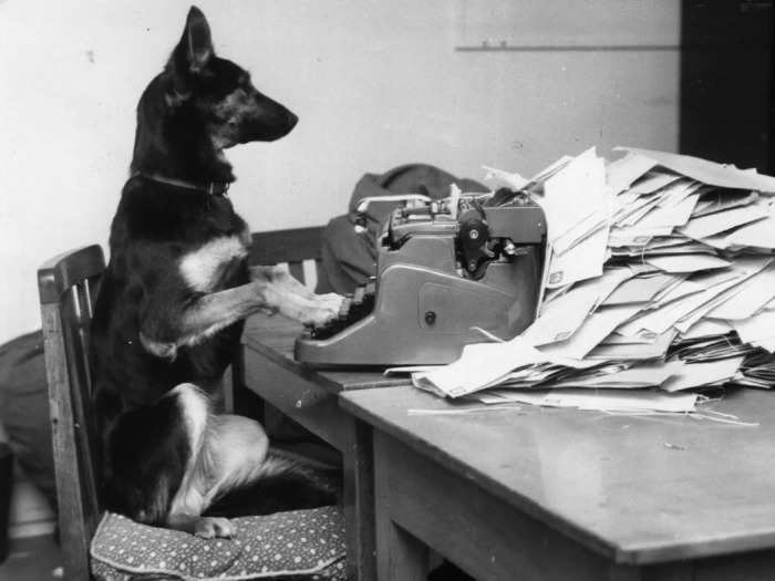 This dog is composing the next Great Canine Novel.