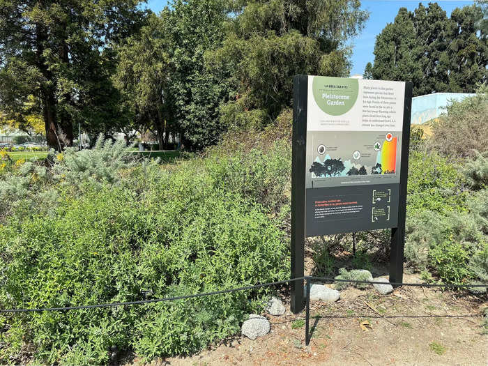 To get a feel for what Los Angeles once looked like, visit the Pleistocene garden. 