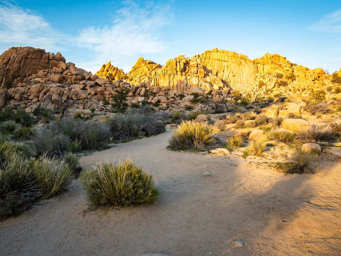 The dome was perfectly placed for accessing Joshua Tree National Park.