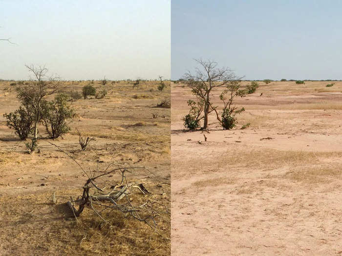 The dangers of land degradation include soil erosion and lessened biodiversity.