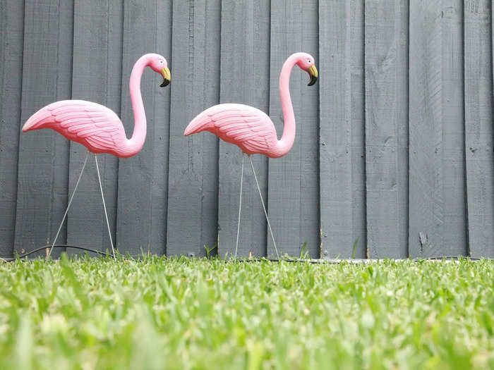Plastic flamingos lack natural appeal. 