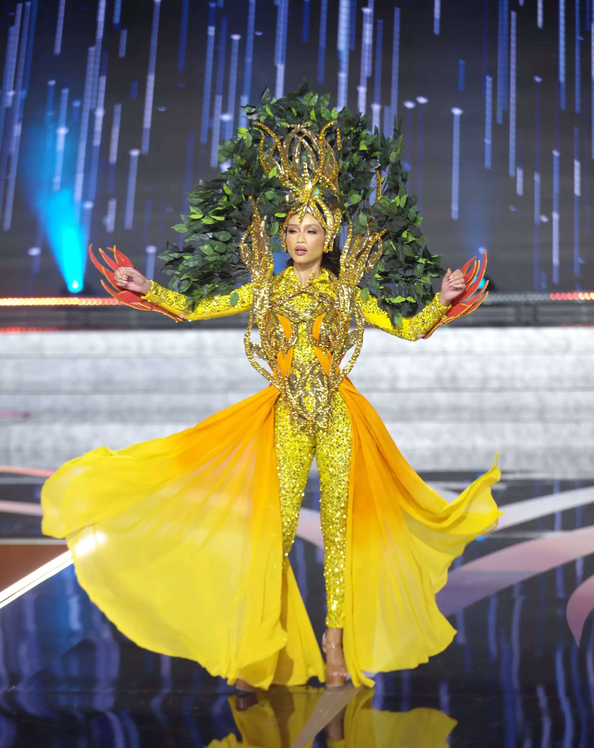 Miss Hawaii 2023 state costume